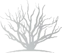 logo-text
